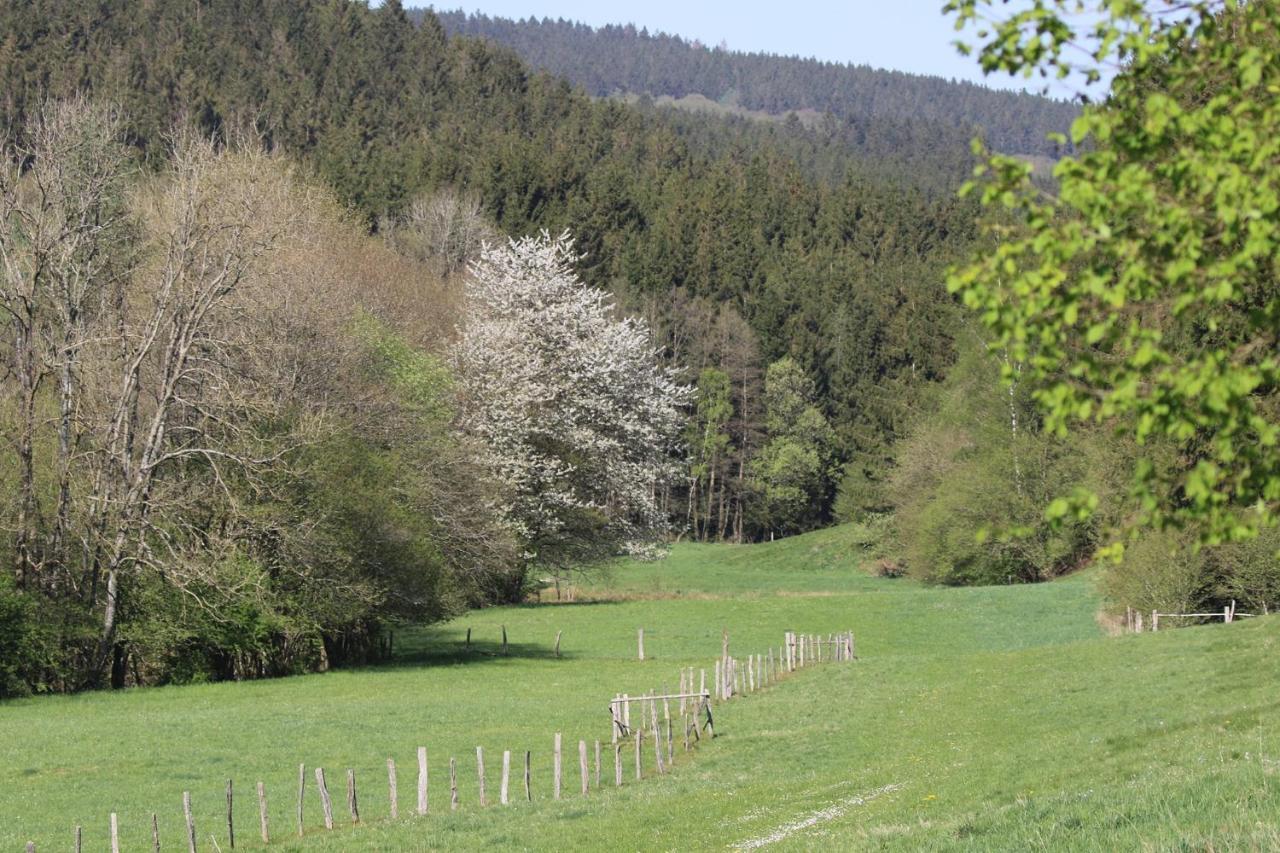 Le Clos Du Cerf - Le Sous-Bois Стумон Экстерьер фото