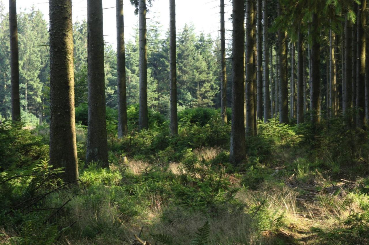 Le Clos Du Cerf - Le Sous-Bois Стумон Экстерьер фото