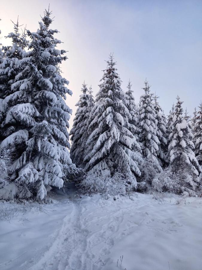 Le Clos Du Cerf - Le Sous-Bois Стумон Экстерьер фото
